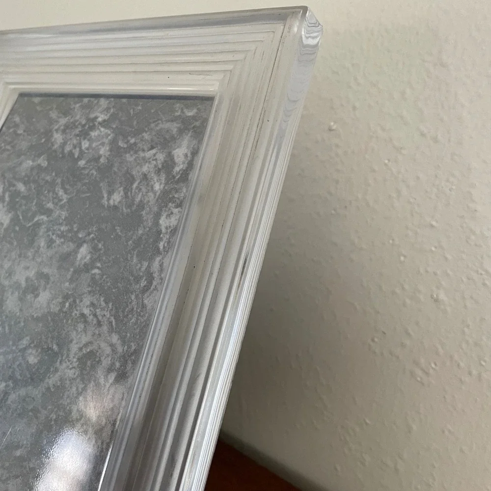 J.G. Durand Crystal Glass Frame Frosted Etched Botanical Heavy 5x7 Photo Picture